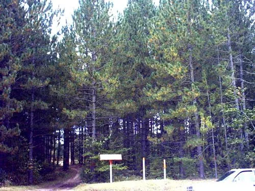 Top-rated garden landscaping for outdoor upgrades in Belleville, MI by Pro-Soil Site Services