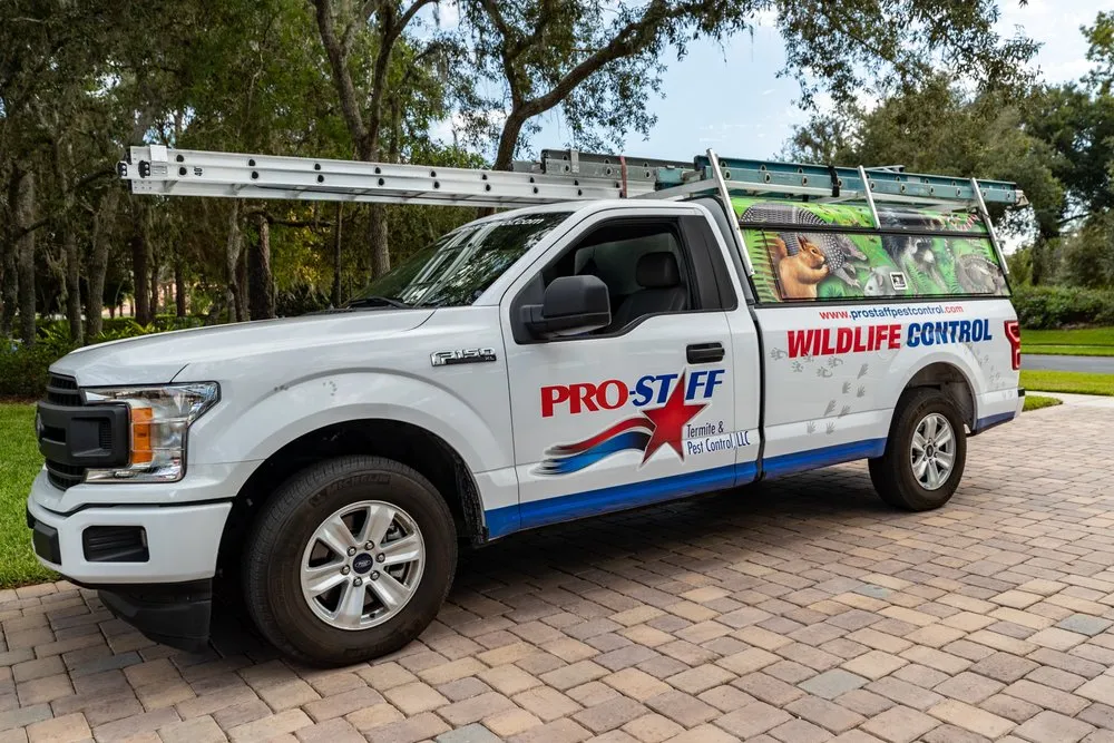 Custom outdoor landscaping for year-round maintenance in Longwood, FL by Pro-Staff Termite & Pest Control