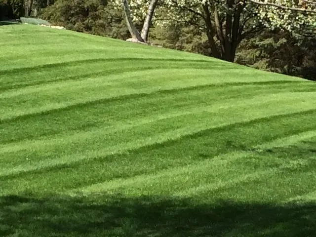 Local landscape design in Adrian, MI by Pro-Stripe Lawn Care