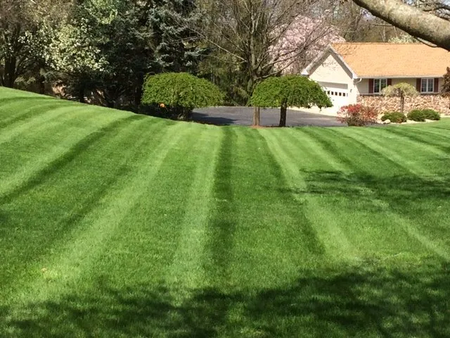 Top-rated yard cleanup service in Adrian, MI - Pro-Stripe Lawn Care