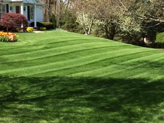 Pro-Stripe Lawn Care Logo