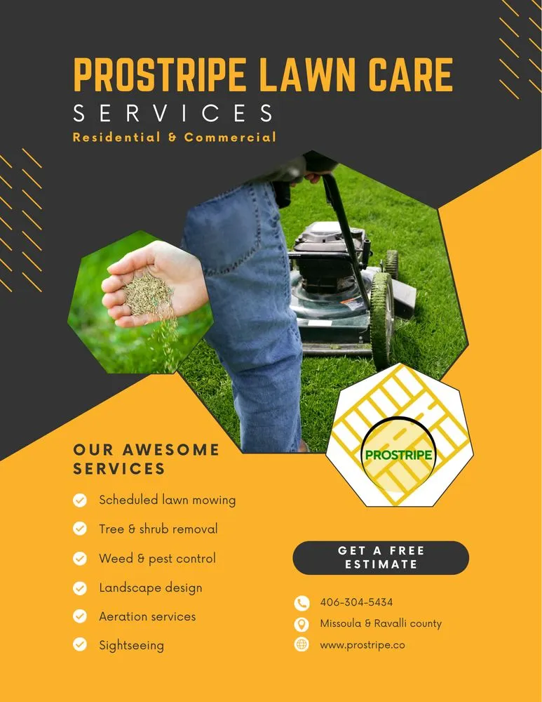 Professional yard cleanup service in Missoula, MT by Pro Stripe