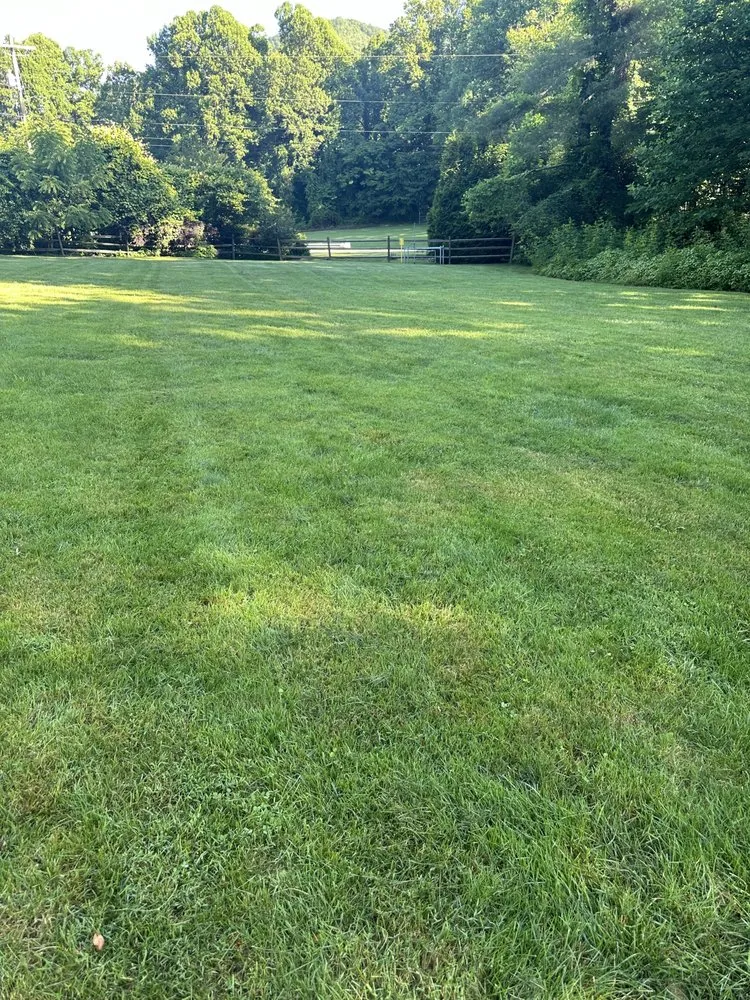 Top-rated outdoor landscaping experts serving Asheville, NC - Pro Style Lawn