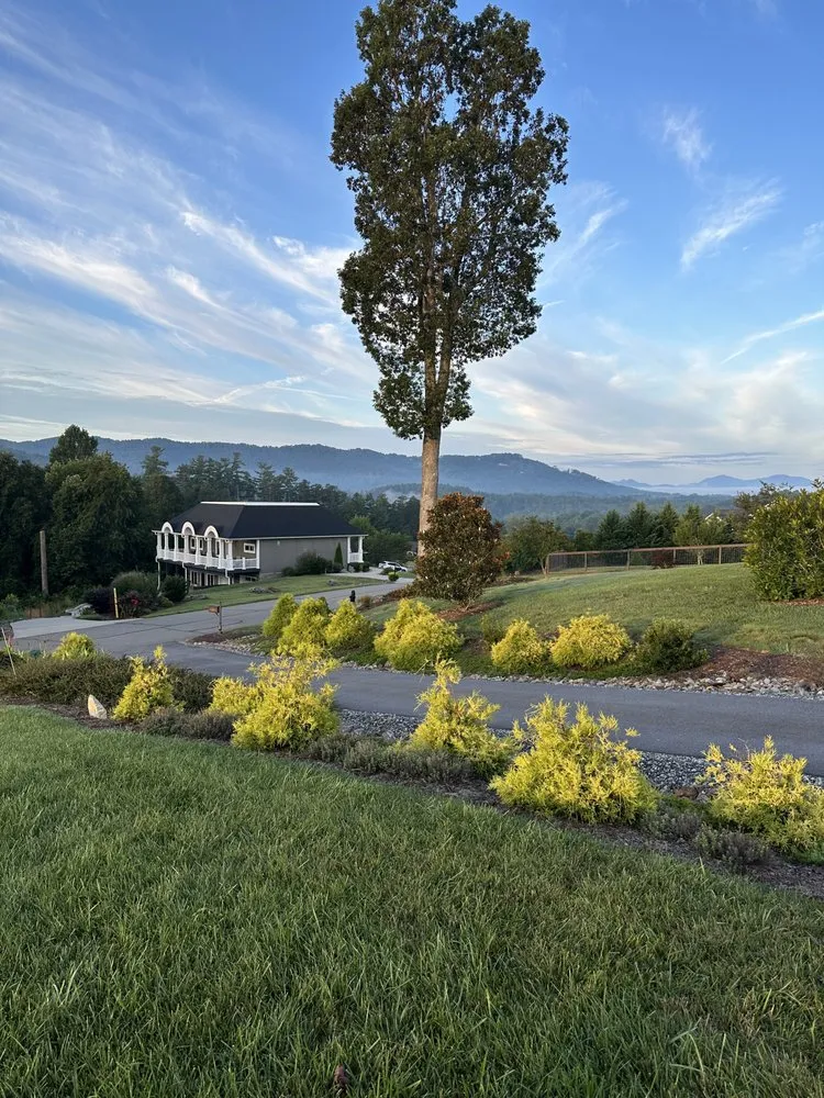 Trusted yard cleanup service in Asheville, NC by Pro Style Lawn