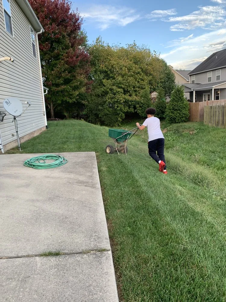 Professional landscaping services in Asheville, NC by Pro Style Lawn