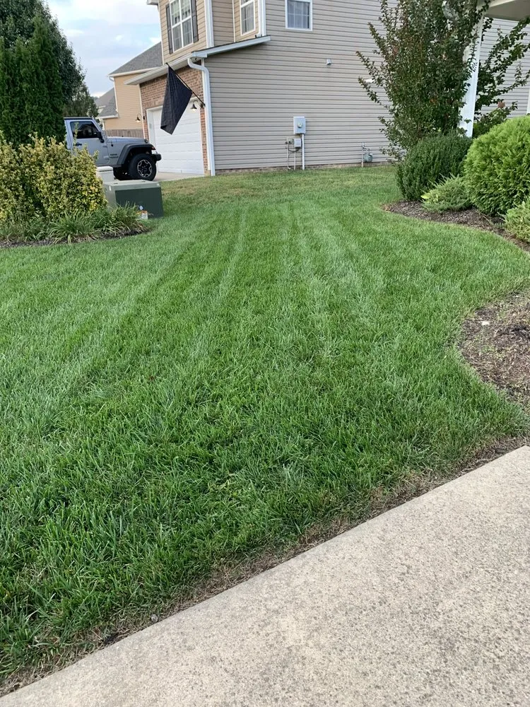 Custom yard maintenance experts serving Asheville, NC - Pro Style Lawn