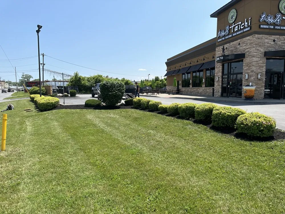 Affordable yard cleanup service for homes in Clay, NY by Pro Tec Lawn & Landscaping Services