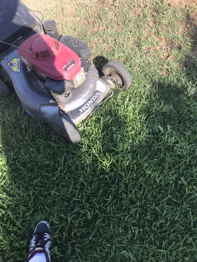 Reliable yard maintenance for residential properties in Whittier, CA by Pro-Tech Gardening Landscaping