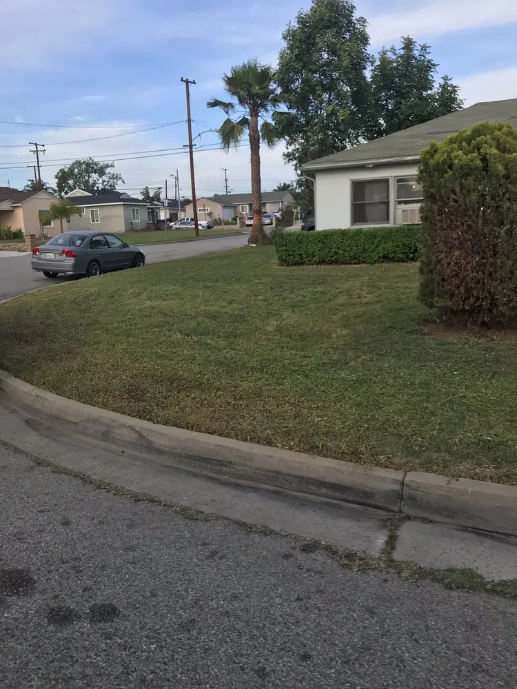 Trusted lawn care service in Whittier, CA - Pro-Tech Gardening Landscaping