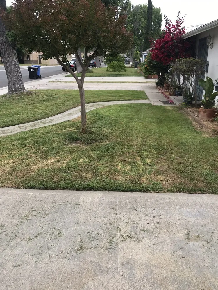 Professional yard maintenance for residential properties across Whittier, CA - Pro-Tech Gardening Landscaping