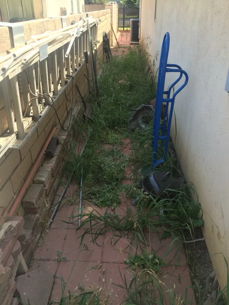 Professional landscape installation for beautiful yards in Whittier, CA by Pro-Tech Gardening Landscaping