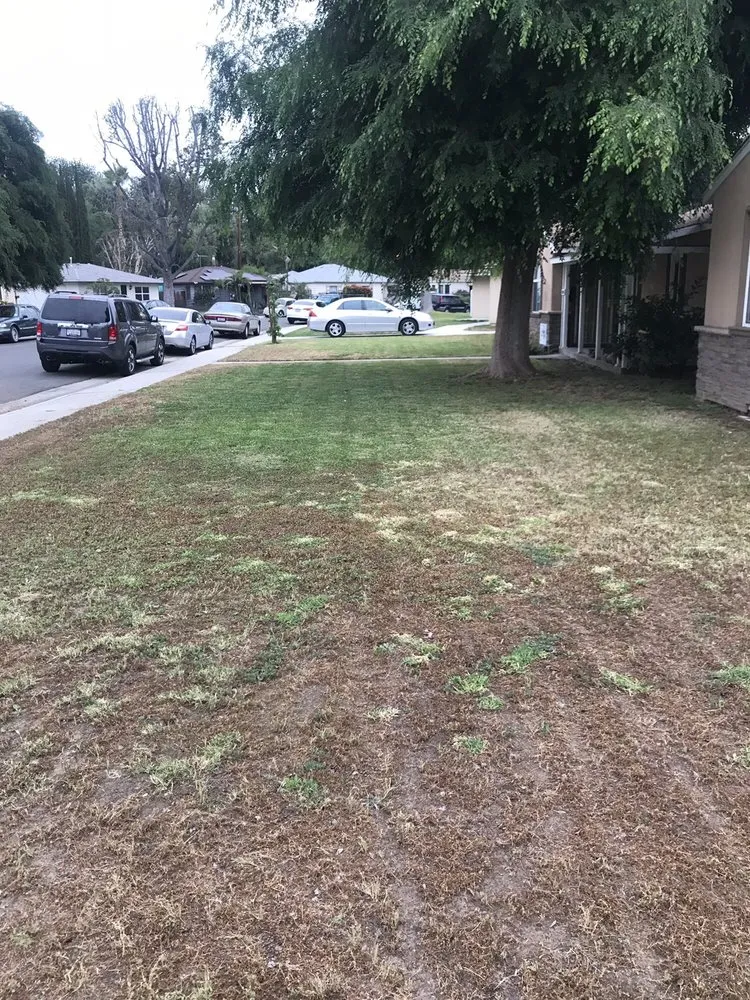 Trusted lawn mowing service near you in Whittier, CA by Pro-Tech Gardening Landscaping