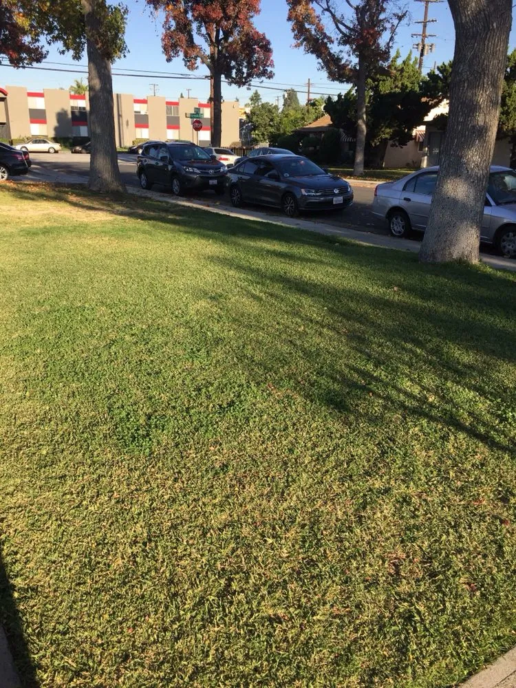 Expert garden landscaping experts serving Whittier, CA - Pro-Tech Gardening Landscaping