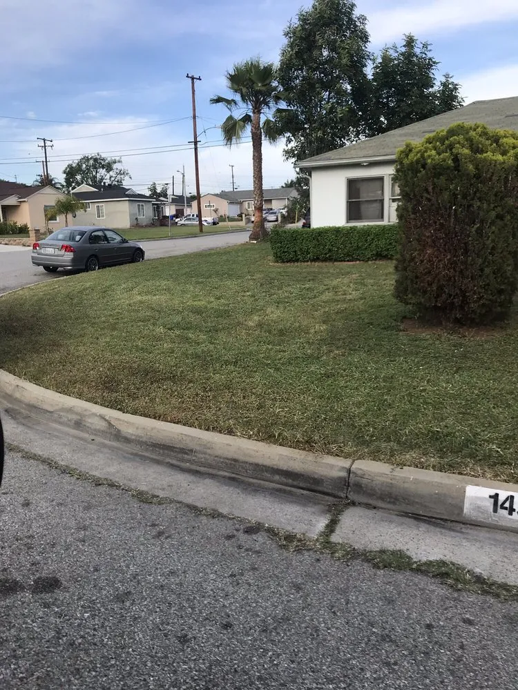 Custom lawn mowing service in Whittier, CA by Pro-Tech Gardening Landscaping