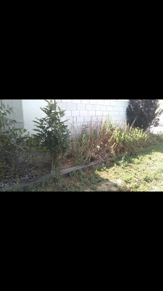 Expert yard cleanup service experts serving Whittier, CA - Pro-Tech Gardening Landscaping