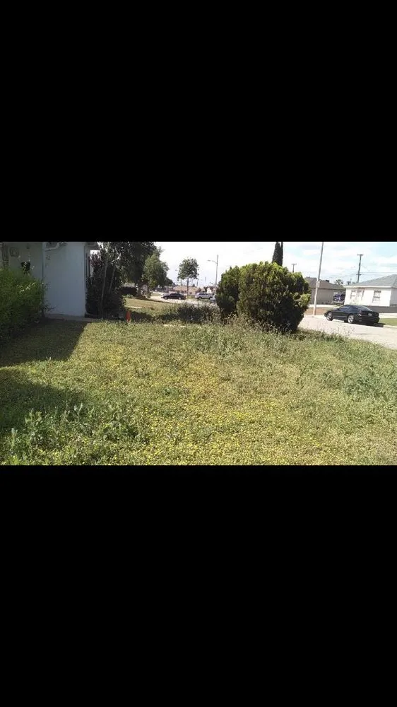 Expert yard maintenance near you across Whittier, CA - Pro-Tech Gardening Landscaping