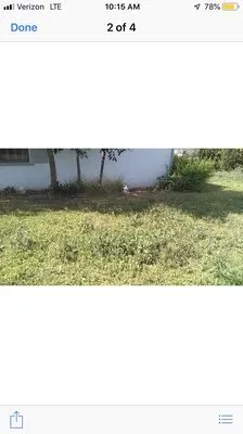 Pro-Tech Gardening Landscaping Logo