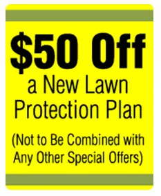 Top-rated garden landscaping for beautiful yards in Derry, NH by Pro-Tech Lawn Care