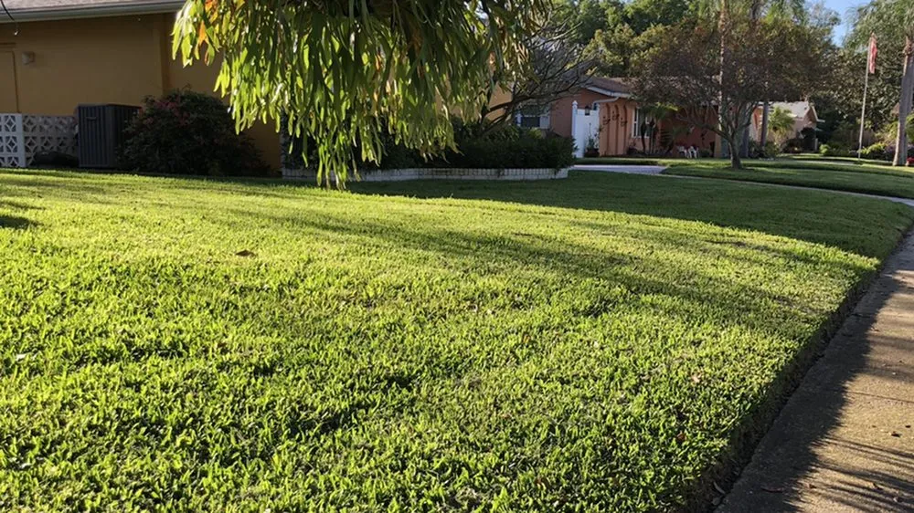 Expert residential landscaping with custom design in Largo, FL by Pro-Tech Renewal Services