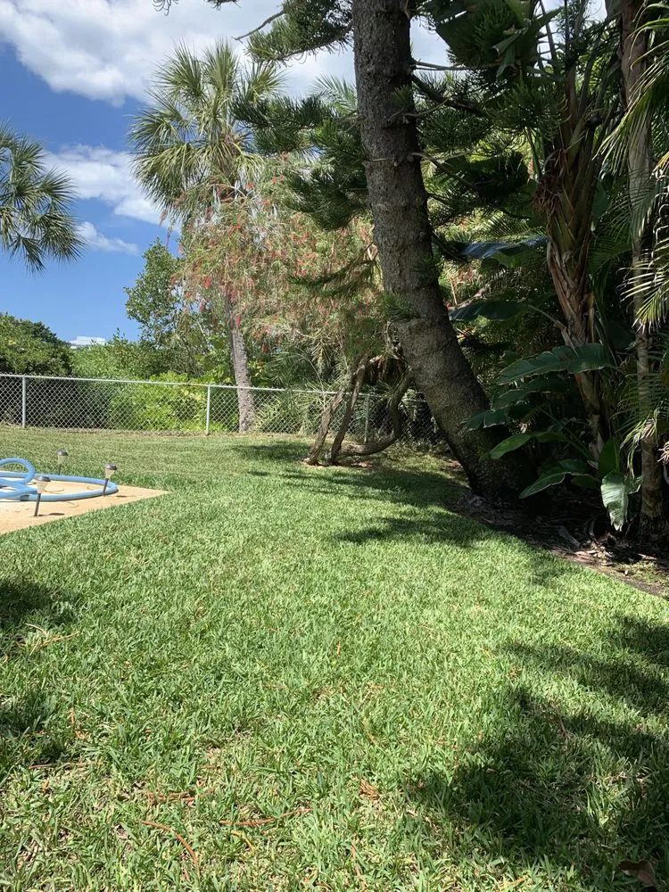 Reliable yard maintenance in Largo, FL - Pro-Tech Renewal Services