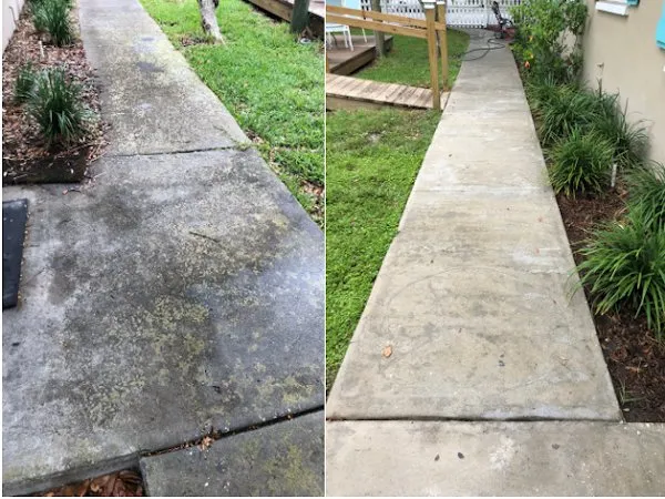 Affordable residential landscaping for year-round maintenance across Largo, FL - Pro-Tech Renewal Services