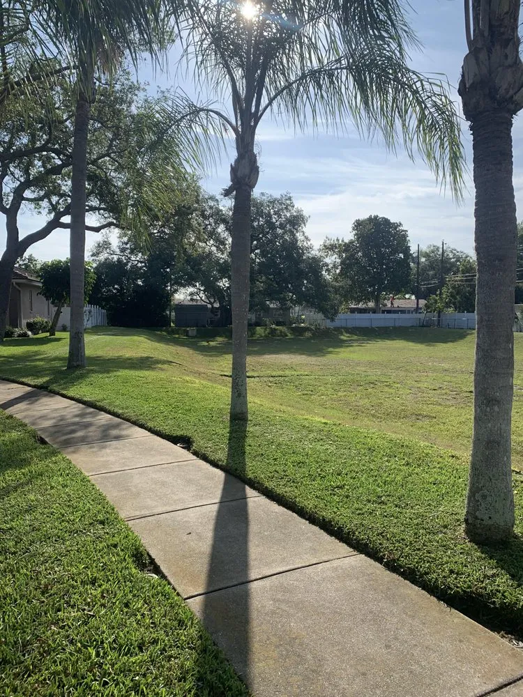 Local landscaping services in Largo, FL - Pro-Tech Renewal Services