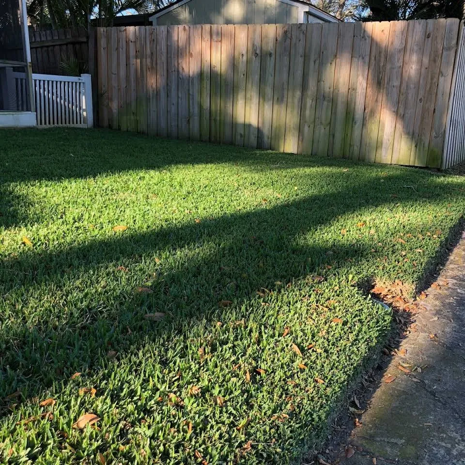 Local yard maintenance in Largo, FL by Pro-Tech Renewal Services