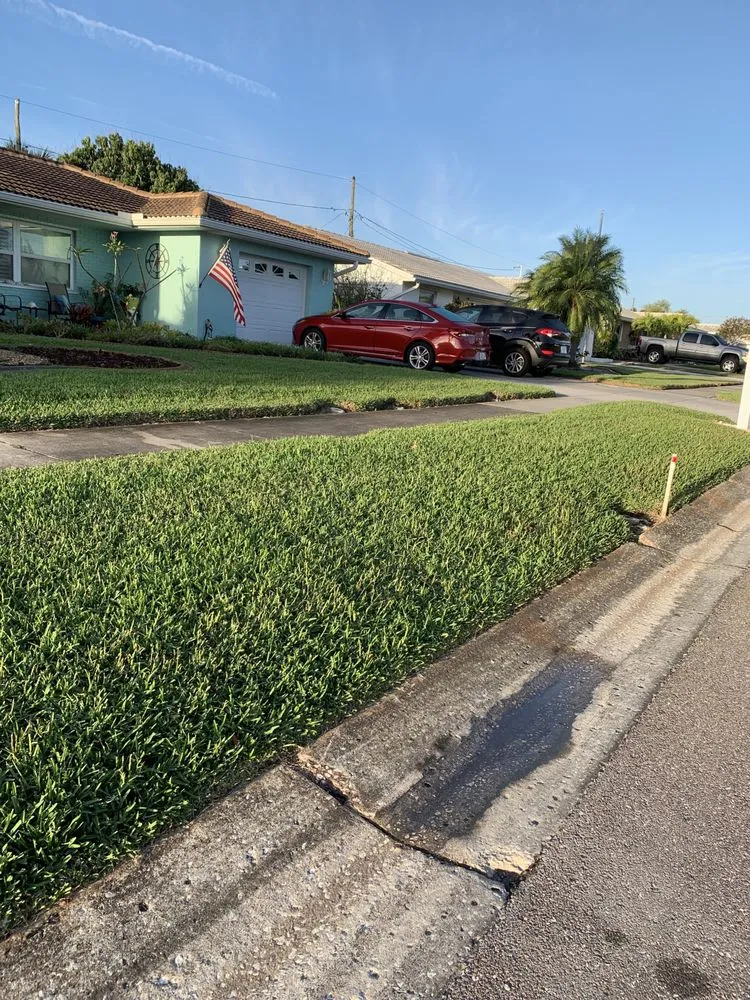 Affordable lawn care service in Largo, FL - Pro-Tech Renewal Services