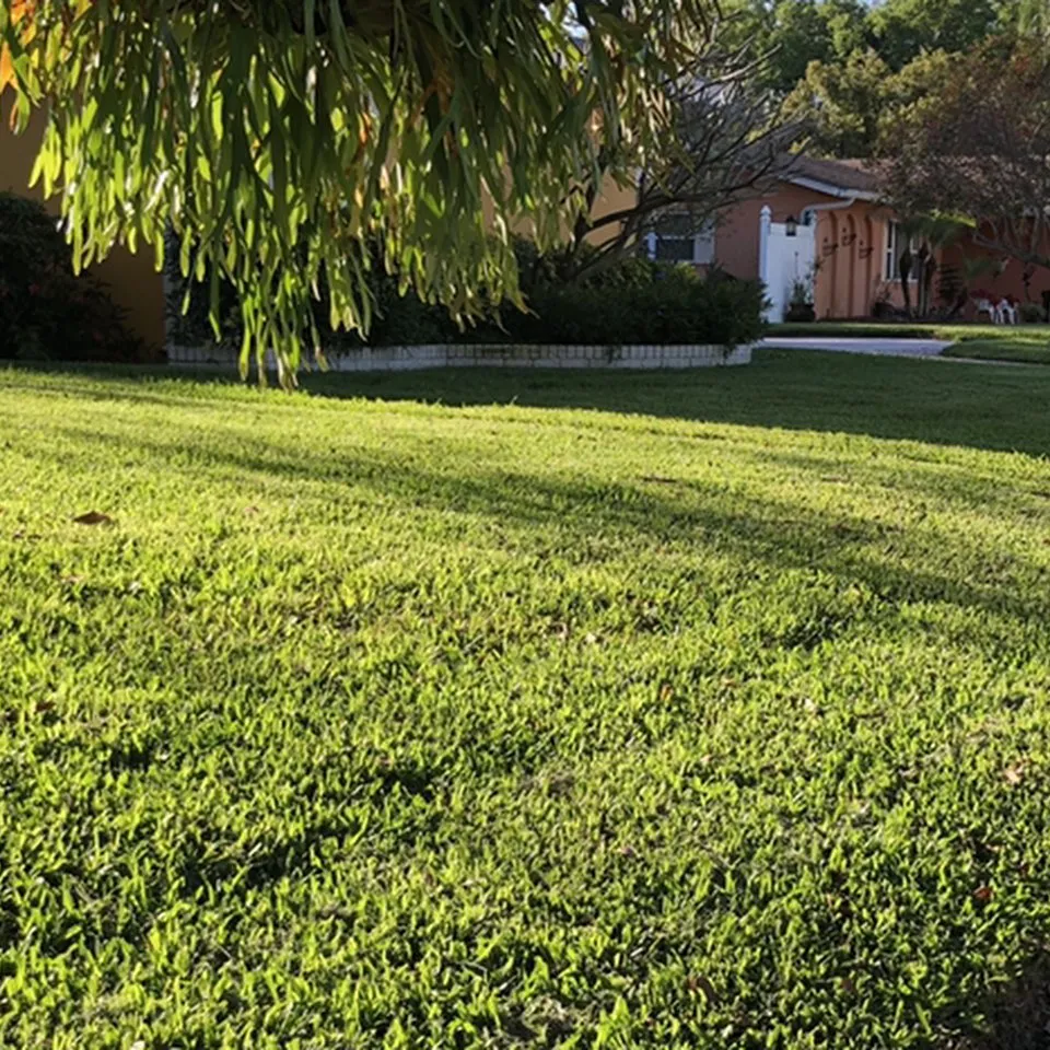 Local landscape installation experts serving Largo, FL - Pro-Tech Renewal Services