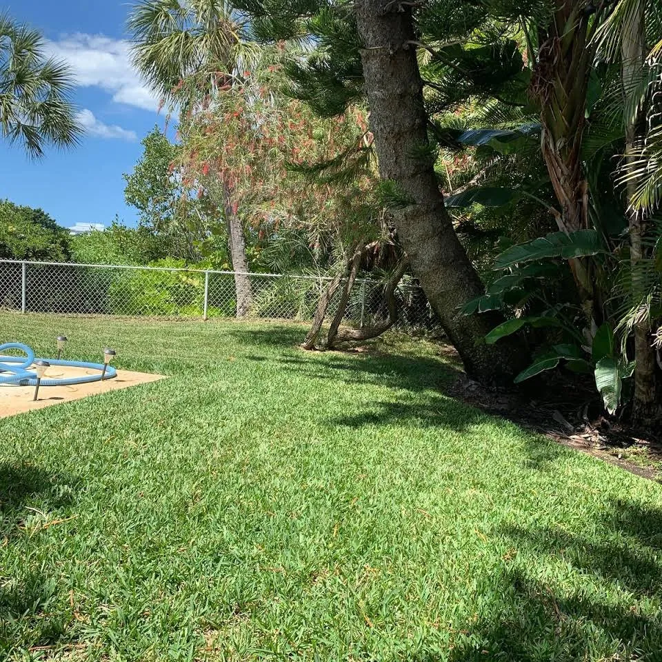 Custom landscape design near you across Largo, FL - Pro-Tech Renewal Services