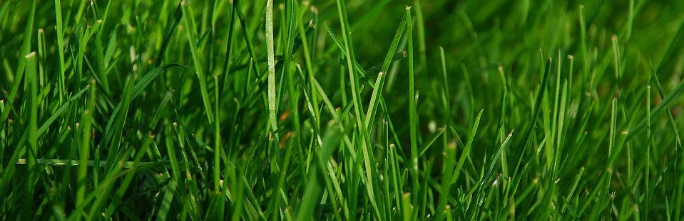 Local lawn mowing service for outdoor upgrades across Cimarron, KS - Pro Tech Spraying Service