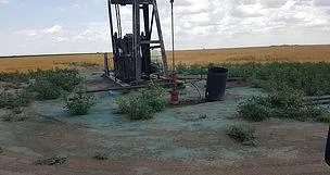 Professional landscaping services for outdoor upgrades in Cimarron, KS by Pro Tech Spraying Service