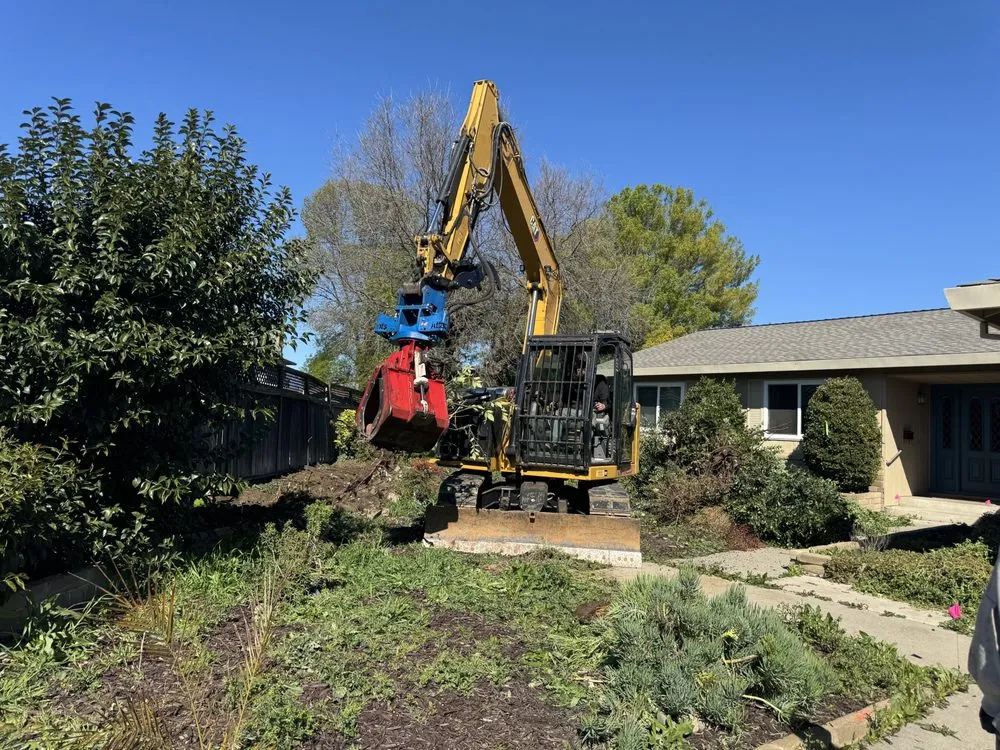 Top-rated landscaping services in Lodi, CA by Pro Terra Solutions