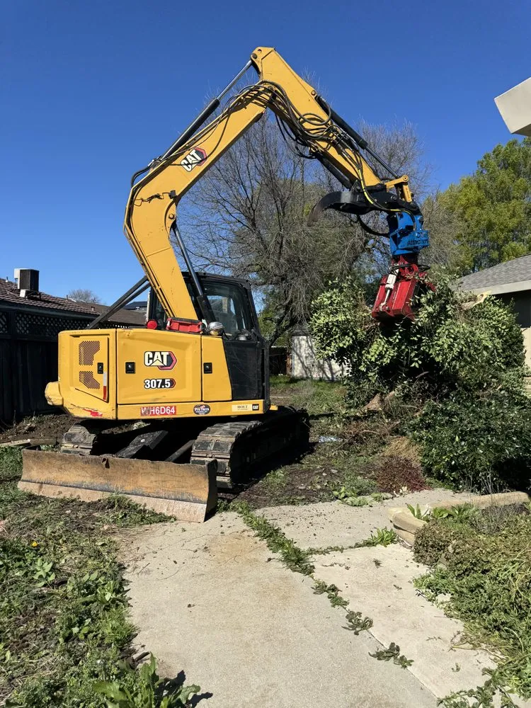 Local outdoor landscaping in Lodi, CA by Pro Terra Solutions