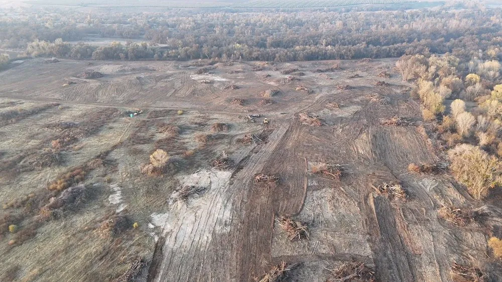 Affordable garden landscaping for year-round maintenance in Lodi, CA by Pro Terra Solutions