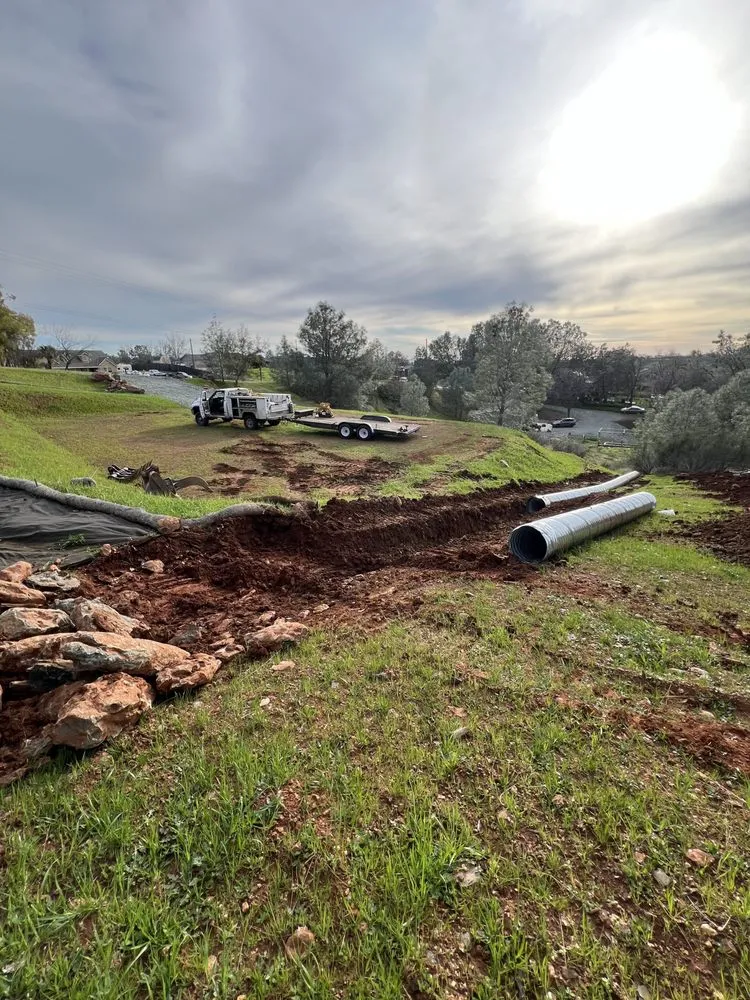 Trusted yard cleanup service for beautiful yards in Lodi, CA by Pro Terra Solutions