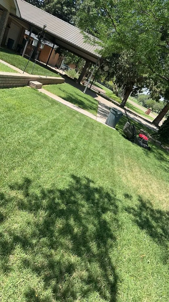 Affordable lawn mowing service in Lubbock, TX - Pro Tex Pressure Washing & Lawncare