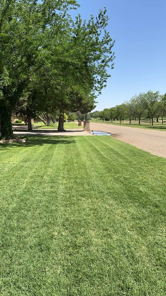 Professional outdoor landscaping in Lubbock, TX by Pro Tex Pressure Washing & Lawncare
