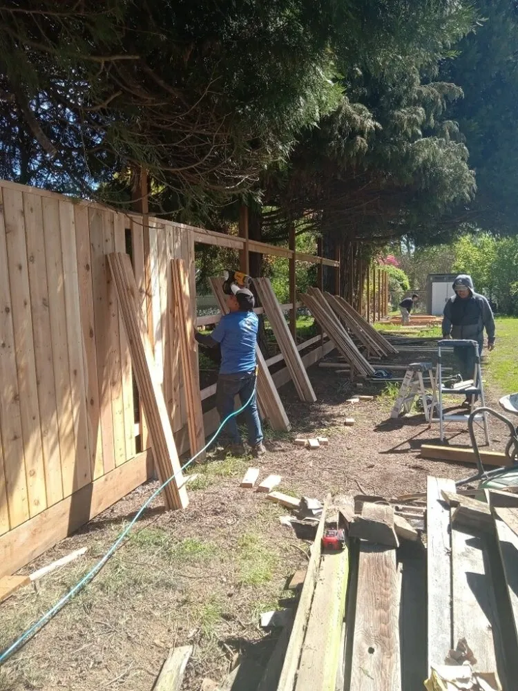 Affordable yard maintenance experts serving Eugene, OR - Pro Time Hardscapes & Construction