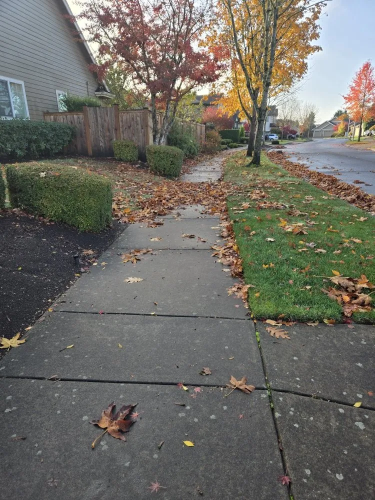 Reliable garden landscaping experts serving Eugene, OR - Pro Time Hardscapes & Construction