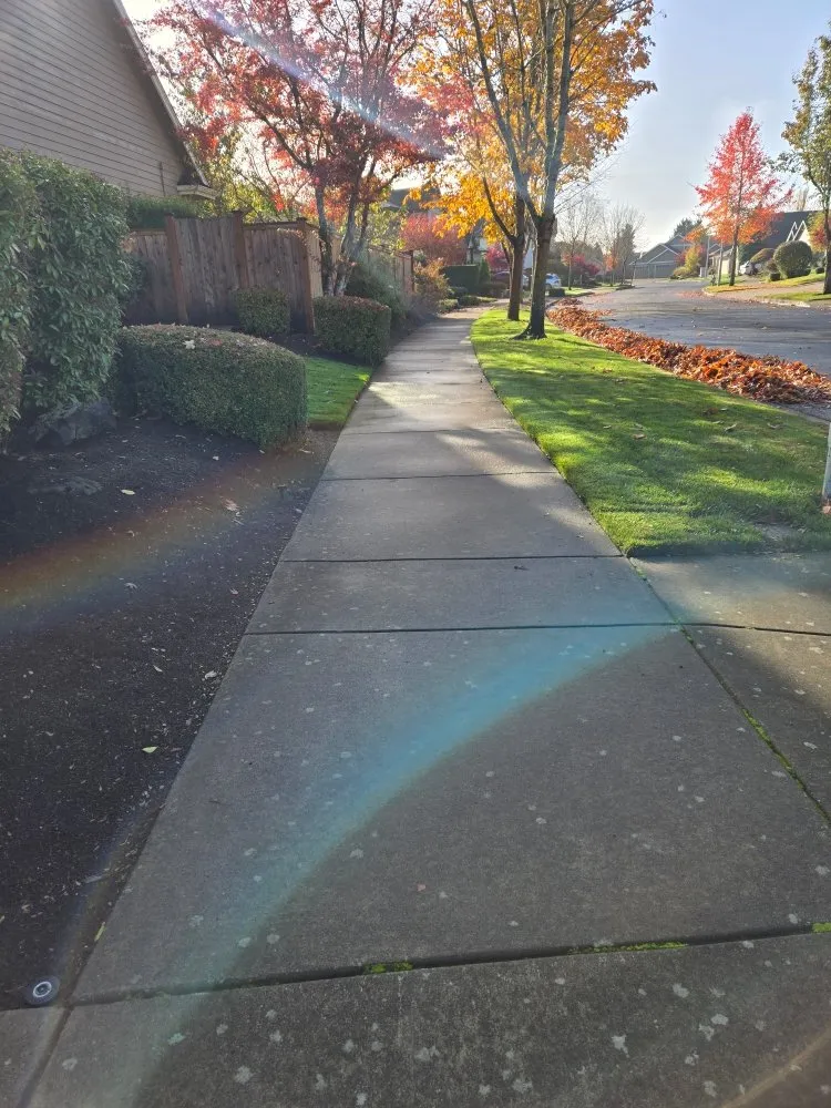 Professional lawn mowing service near you across Eugene, OR - Pro Time Hardscapes & Construction