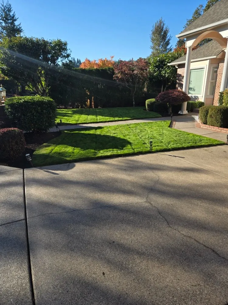 Reliable lawn care service in Eugene, OR by Pro Time Hardscapes & Construction