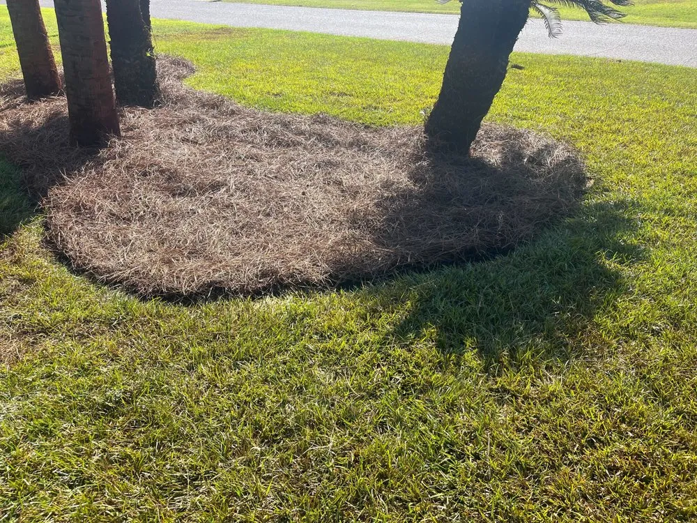 Professional landscape design experts serving Panama City Beach, FL - Pro Touch Lawn & Irrigation