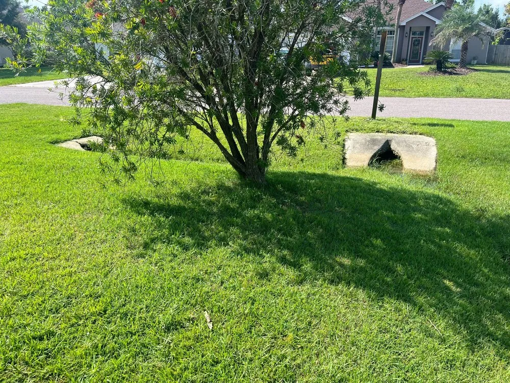 Top-rated residential landscaping in Panama City Beach, FL - Pro Touch Lawn & Irrigation