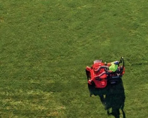 Professional yard maintenance near you across Semmes, AL - Pro Touch Lawn Care