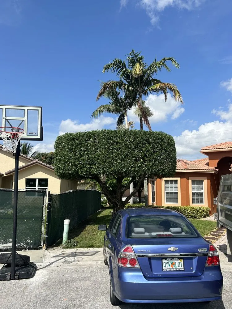 Top-rated residential landscaping in Pompano Beach, FL - Pro Touch