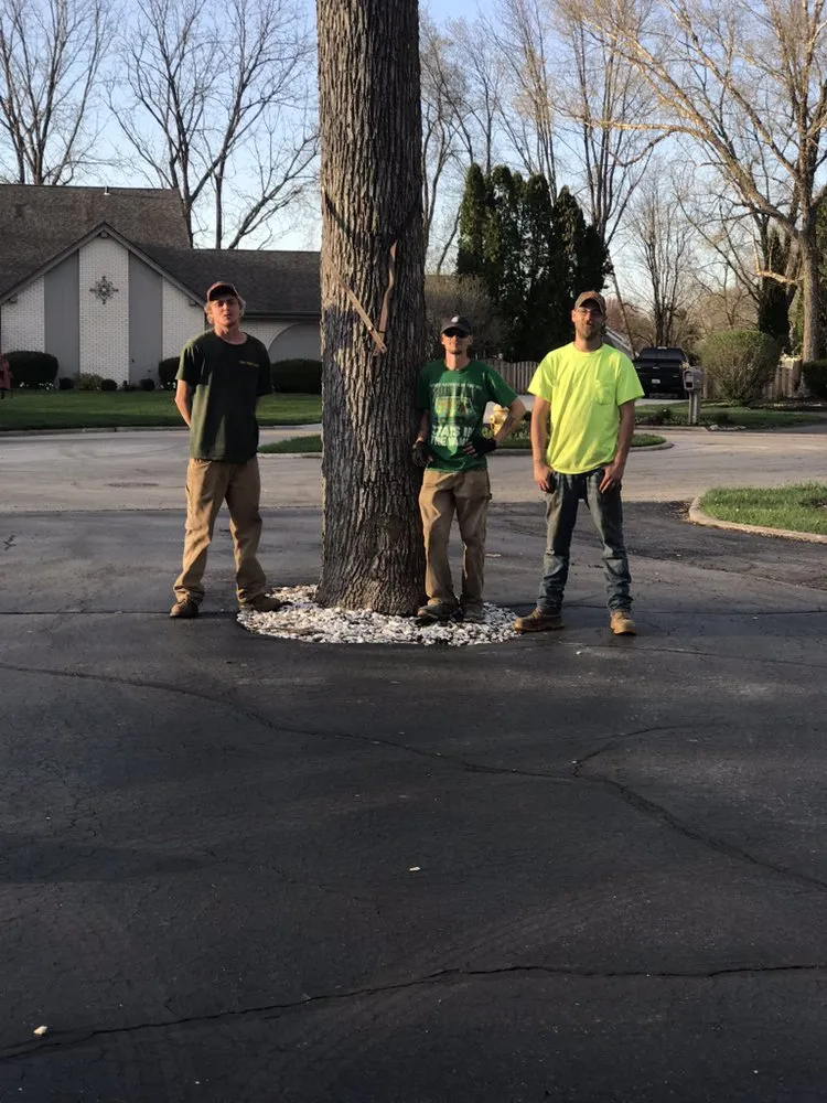 Reliable landscape design in Garden Prairie, IL - Pro Tree Care Linda Johns