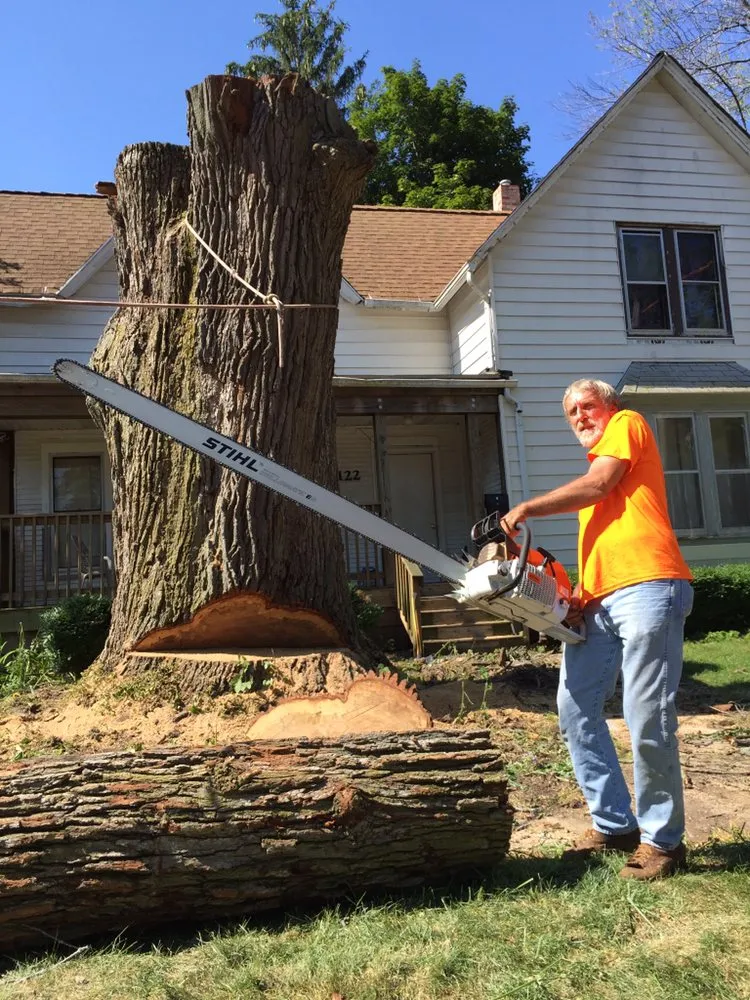 Trusted yard maintenance in Garden Prairie, IL by Pro Tree Care Linda Johns