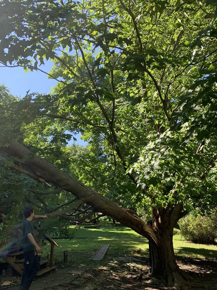 Trusted outdoor landscaping for year-round maintenance in Garden Prairie, IL by Pro Tree Care Linda Johns