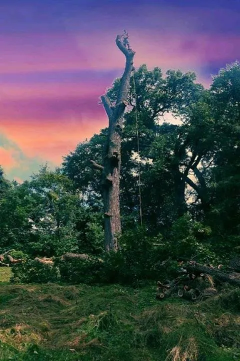 Reliable landscape installation near you across Garden Prairie, IL - Pro Tree Care Linda Johns